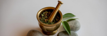 Mortar and pestle with herbs representing Ayurvedic wisdom.